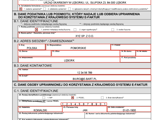 Instrukcja wypełnienia ZAW-FA